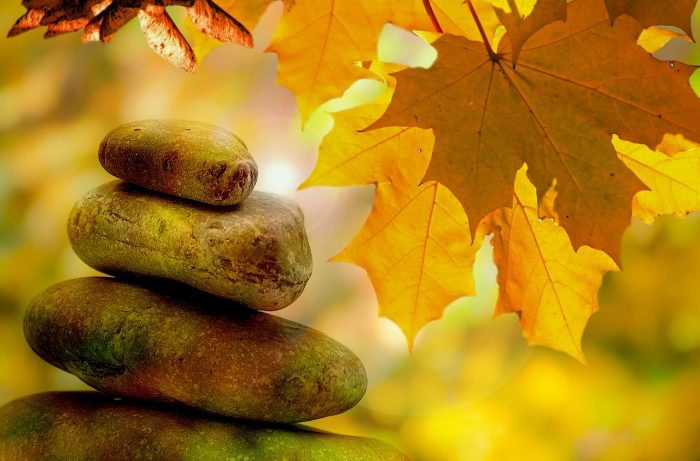 Palestras presenciais de Novembro – “Para Buscar a Paz”